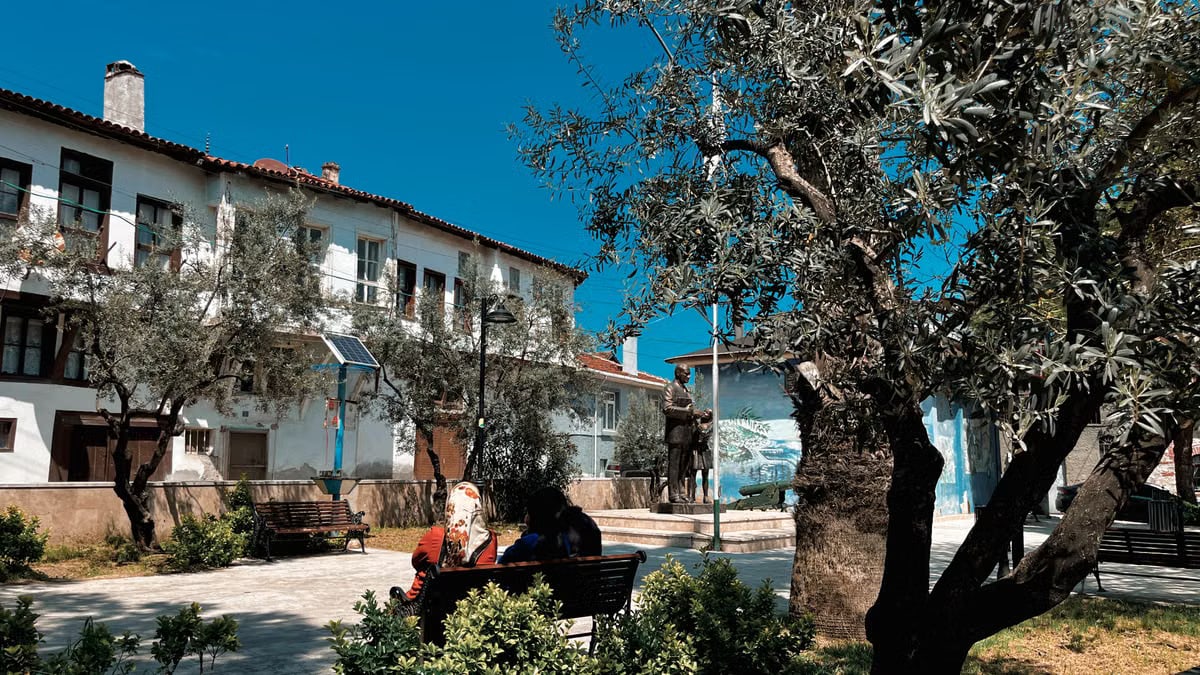Peaceful village square with benches, olive trees, and historical buildings under clear blue sky.